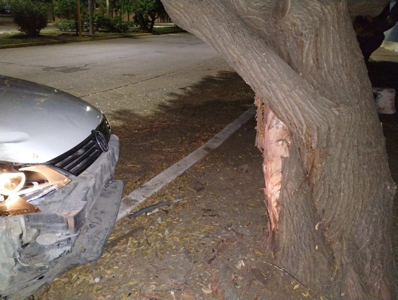 Chocó contra un árbol y abandonó el vehículo en Avenida Alcaldes El