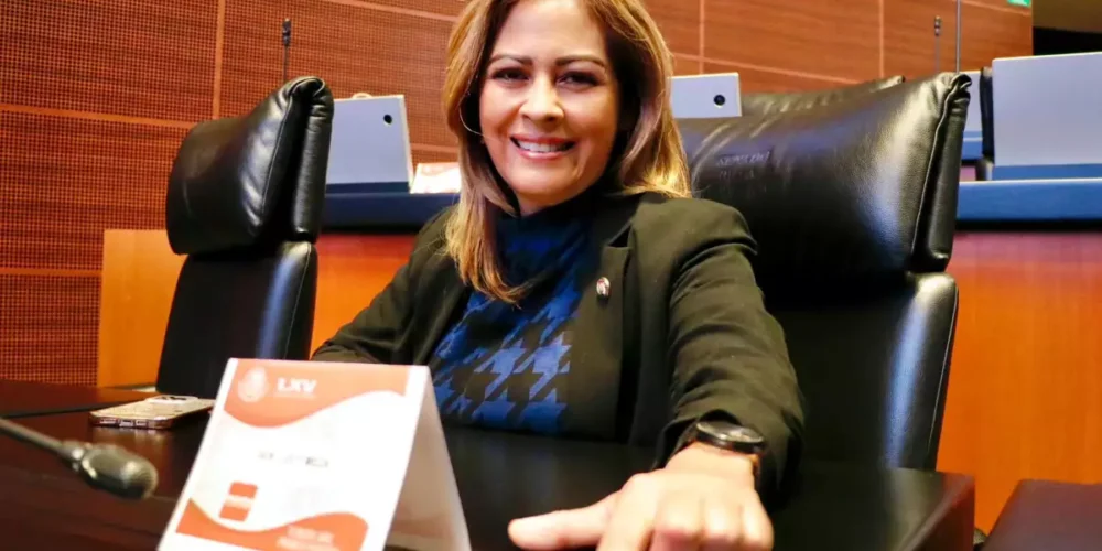 Lucía Meza renunció a Morena y será abanderada del FAM al gobierno de