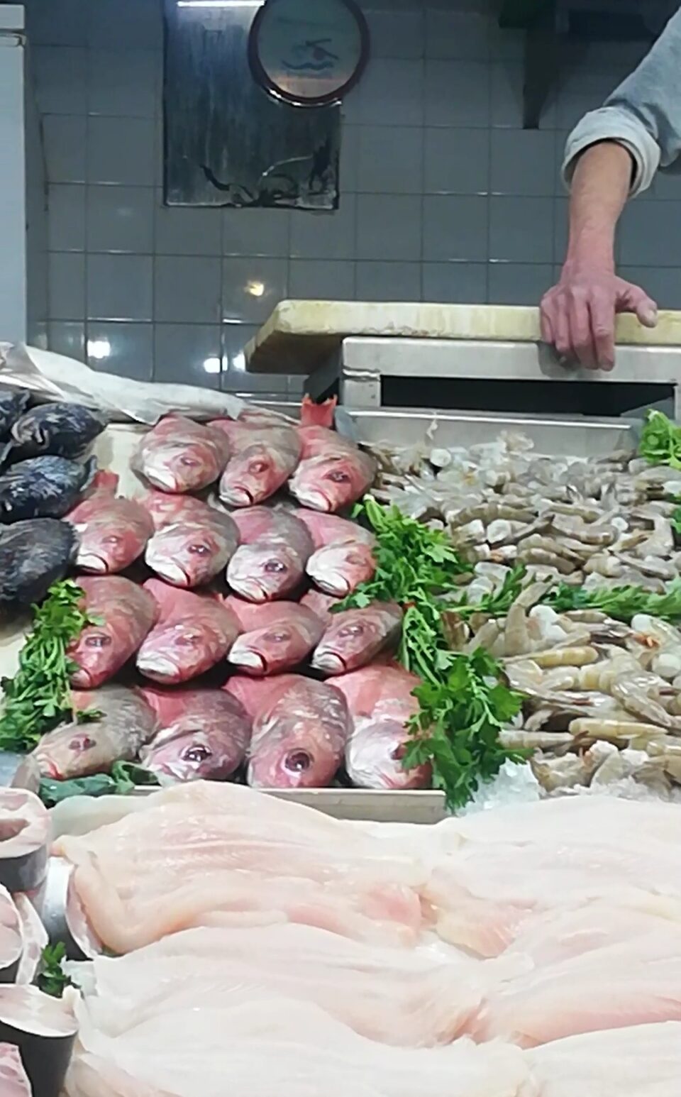 Alerta de Salud: Evita Comprar Pescados y Mariscos en Puestos Ambulantes durante la Cuaresma